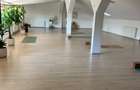 Studio sau birouri mansarda Universitate - strada Sfintilor 6 - 11
