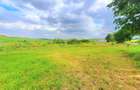 Teren intravilan 717 mp – Sura Mare, Sibiu - 4
