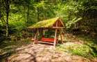 FILM! Pensiune turistica+Casa+transfer afacere+teren,Cheile Rasnoavei,Brasov - 11