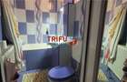 Apartament 2 camere de vanzare zona Ansberg - 14