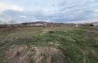 17.000 mp teren intravilan + hale 2.000 mp-Drumul Tărpiului Zona LEONI BISTRITA - 3
