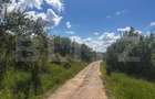 Teren extravilan de vanzare, 2500 mp, zona Valea Sigmirului - 1