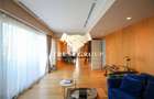 Gradina Icoanei  - Penthouse tip duplex - - 9