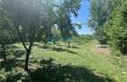 Royal Imobiliare-Vanzare Vila Zona Romanesti - 26
