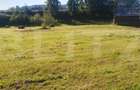 Teren intravilan, 5530 mp, zona Neagra Sarului - Vatra Dornei - 3