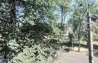 Apartament 3 camere | Pache Protopopescu | Ultracentral - 12
