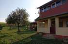 Teren 11.600 mp intravilan, cu casă și utilități pe proprietate – Câmpenești - 1