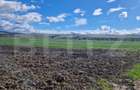 Teren Extravilan 15000 mp- parcelat in 3 loturi Bod- 5000 mp fiecare parcela - 3