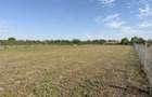 Două case noi pe teren de 2.800 m² – Firiteaz - 7