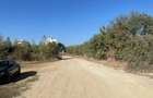 Baneasa, Nisipoasa, vanzare teren intravilan, suprafata 640 mp, P+4, - 5