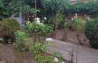 CASA SUPERBA 4 CAMERE ZONA VALU LUI TRAIAN 933MP - 3