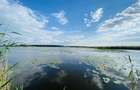 Teren rezidențial langa lac Snagov în Silistea Snagovului ieșire A3 - 3