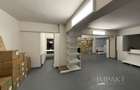 Spatiu de 450 m2 Piata Cipariu, ideal depozit curierat, arhivare, etc - 11