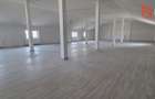 Spatiu comercial pe doua fronturi, finisat la cheie, 430 mp utili - Giroc - 9