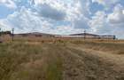 Teren 9.976 mp cu proiect aprobat parc fotovoltaic 1,4 MW, Bucovăț - 1