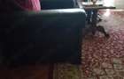 Apartament 2 camere, semidecomandat, Titulescu - 4