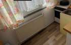 Dragos Voda apartament cu o camera, etaj 2, mobilat si utilat - 4