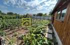Vila P si 1E,  teren 1000 mp, loc. Dumbrava, jud Bacau - 18