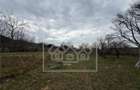 Teren intravilan 1247 mp de vanzare - zona Sadu, Sibiu - 3