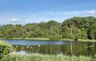 Vila individuală cu terasa panoramică vv Colina Lac, lângă lac si DN1 - 20