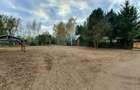 Vilă 380 mp cu deschidere la Lacul Snagov | 4.700 mp teren | Piscină - 3
