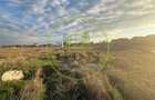Teren intravilan, 3600 MP, Craiova, zona Jumbo - 1