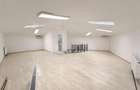 Vila moderna de inchiriat - 250 mp + 100 mp curte-Podul Grant - 7