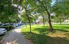Calea Torontalului, apartament spatios, langa parc - 10