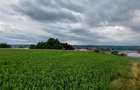 Teren intravilan de vanzare in Tg Trotus - 4