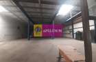 Spatiu Logistic langa Bucuresti Hala 5000 mp - 32