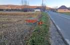 Teren Intravilan în Ampoița 1000mp - 5