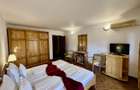 Hotel 20 camere Delta Dunarii 50 m deschidere teren 6000 mp acces auto - 11
