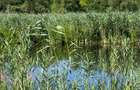 Teren cu deschidere la lac strada Orhideelor- conectare imediata la curent