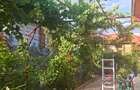 Casa de vinzare in Dudasu cu teren 614m patrati, pozitie foarte buna  - 5