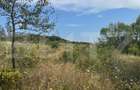 Teren de vanzare extravilan 10819 mp, zona La Soare - 3