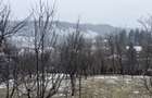 Teren 4652 mp cu izvor pe el, Lunca Mare, lângă păstrăvăria Doftana - 6