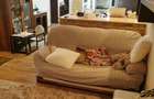 Casa zona Stadion 250mp finisata mobilata utilata 180.000eur+TVA - 8
