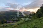 Teren 10.900mp | Panoramă în Apuseni | Remeți -Ideal pentru Investitii - 2
