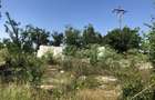 Proprietar vand teren -Teleorman-Radoiesti/Cetate-Comision 0! - 5