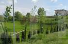 Teren intravilan, 873mp, cu Puz aprobat, utilitati, in Dambul Rotund - 3