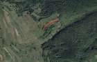 Portofoliu funciar de peste 10 hectare | Izbuc - Carpinet | Jud. Bihor - 2