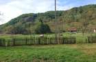 Teren, padure si casa in Dumbrava de Jos, jud. Hunedoara - 20