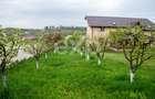 Proprietate unică, în zonă verde și liniștita - 8