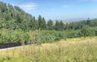 Vand Teren Intravilan 3000mp, PUZ aprobat, Poiana Angelescu, Sacele, Brasov - 1