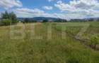 Teren intravilan la sosea, 6400 mp, Vicov de Sus - 3