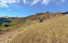 Refugiu de poveste în inima naturii | 12.000 mp în Holbav | Proiect început - 12