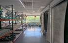 Spatiu comercial stradal 2.200 mp, Brancoveanu | venit stabil - 9