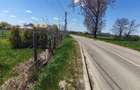 Teren intravilan, 4600mp, zona Francei, Radauti