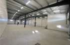 Spatiu Industrial - 700 mp - Productie - Depozitare - Distributie - 1
