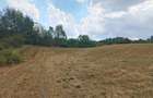 2 Parcele de teren extravilan zona Bradet Pret 3000eur/ar neg usor - 5
